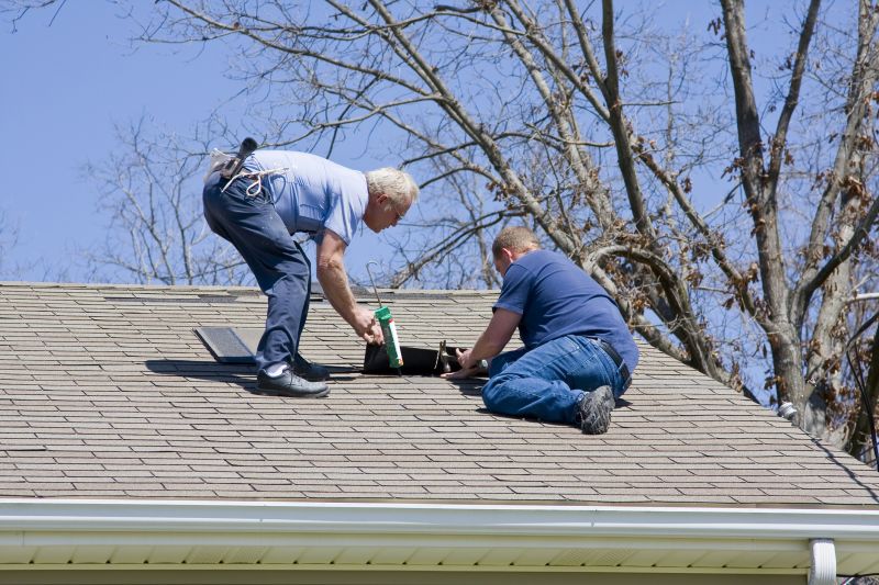 Roof Patch Repair
